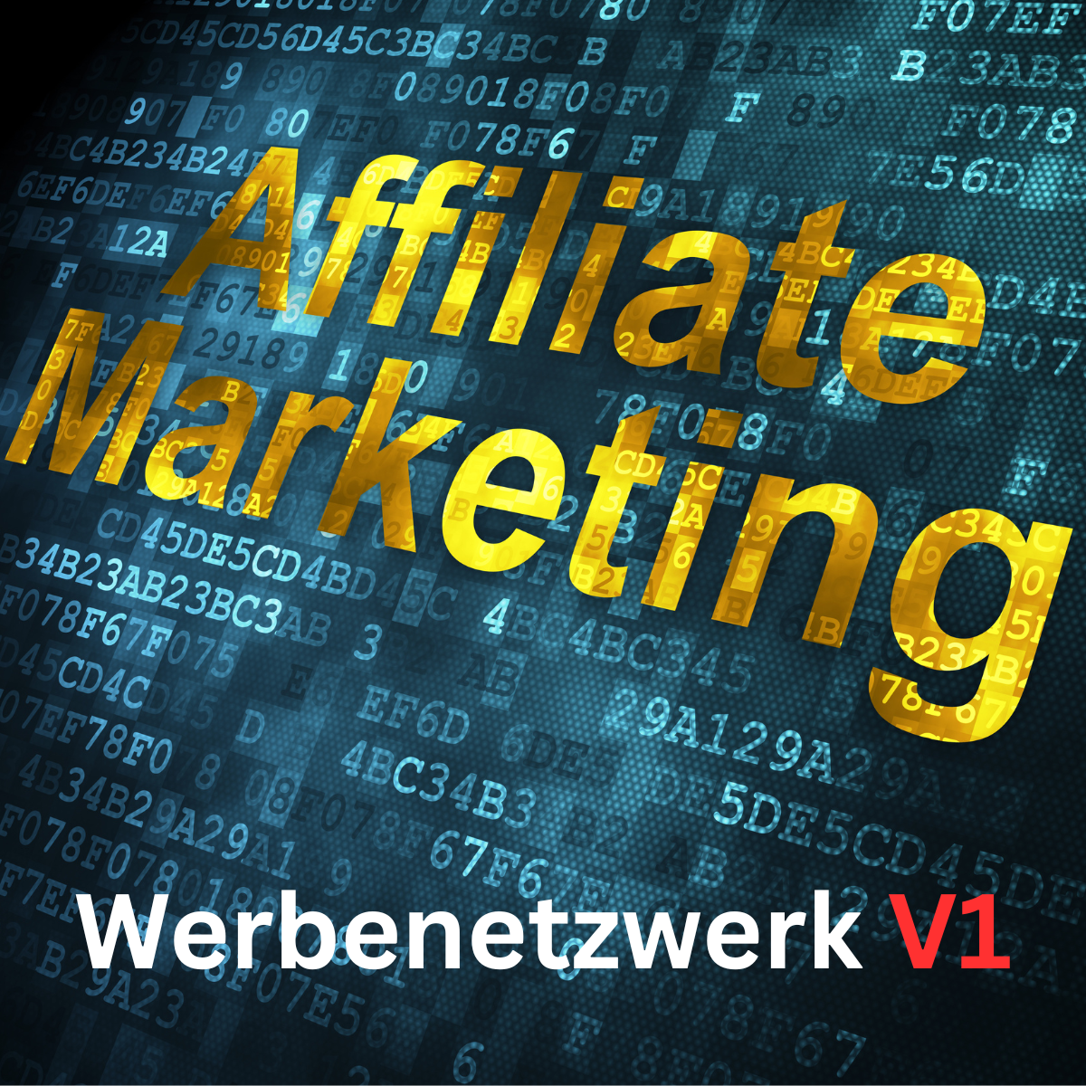 Werbenetzwerk V1